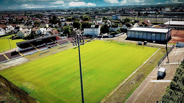 何实质性的 何实质性的