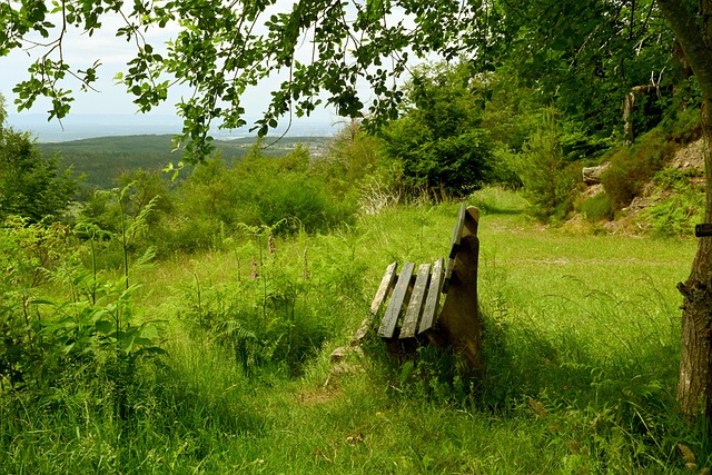 确保青少年 确保青少年